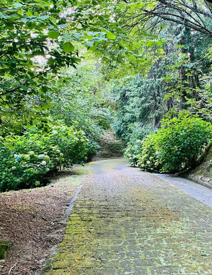 Il Bosco Di Campo Marzano Green & Sky Borzonasca ภายนอก รูปภาพ
